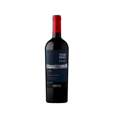 Imagem de Vinho Penedo Borges Seleccion de Parcelas Malbec Tinto - 750ml
